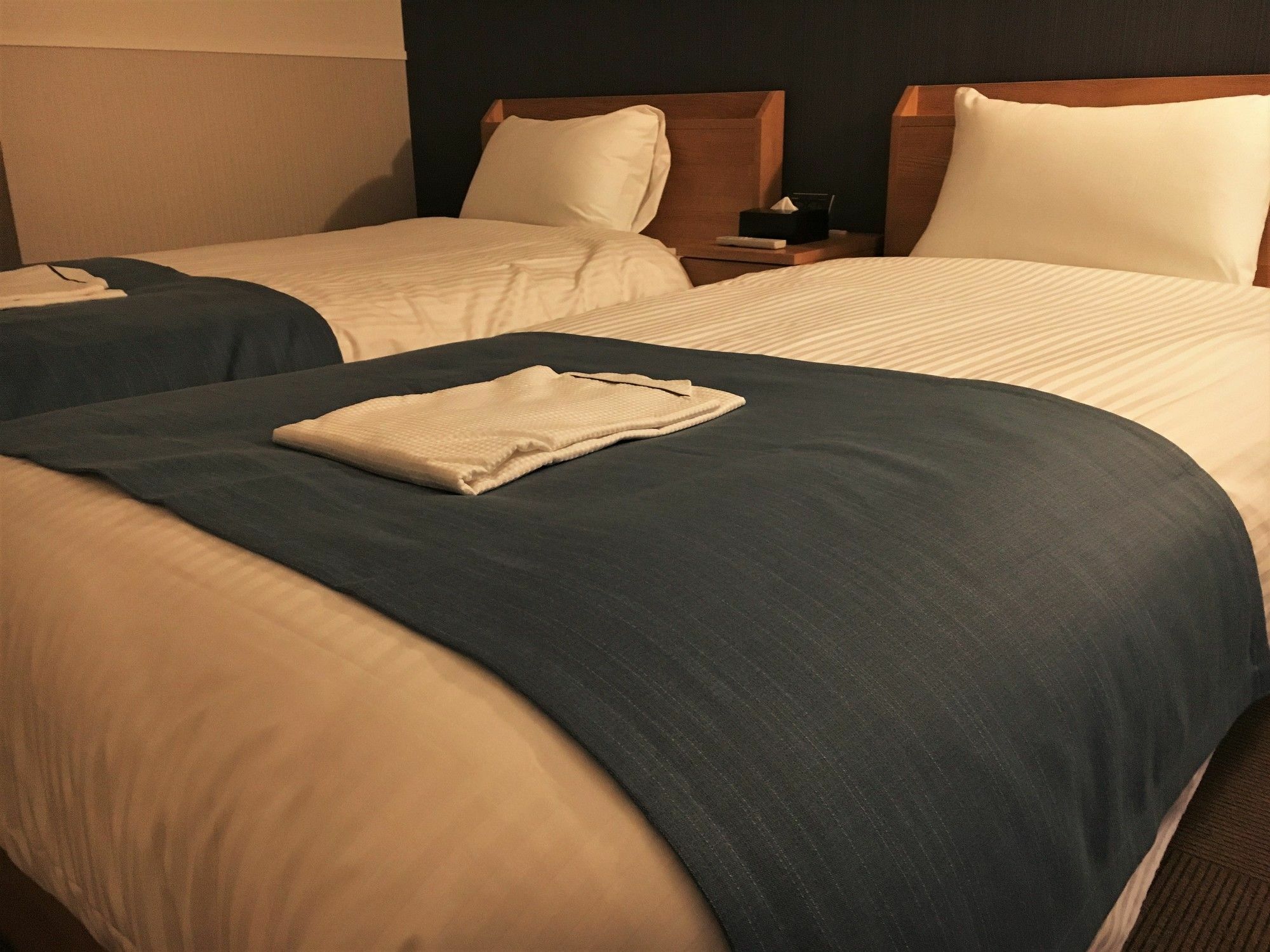 Randor Fukuoka 4* Fukuoka (Fukuoka)